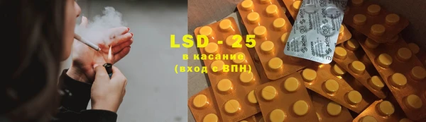 PSILOCYBIN Аркадак