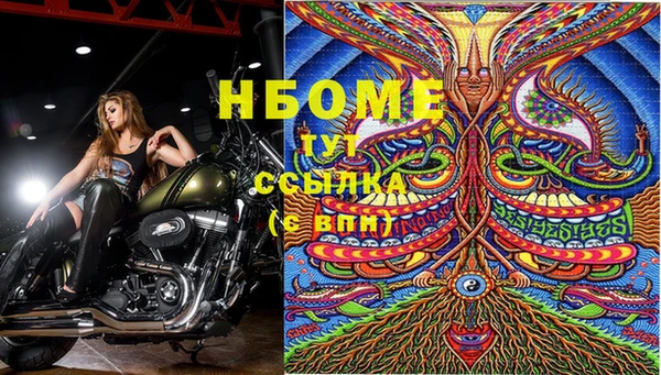 PSILOCYBIN Аркадак
