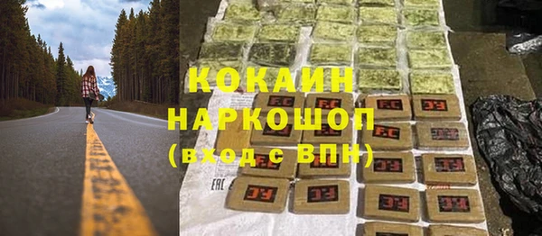 PSILOCYBIN Аркадак