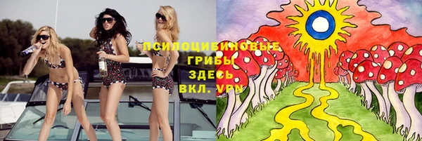 PSILOCYBIN Аркадак