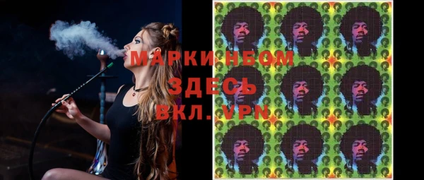 PSILOCYBIN Аркадак